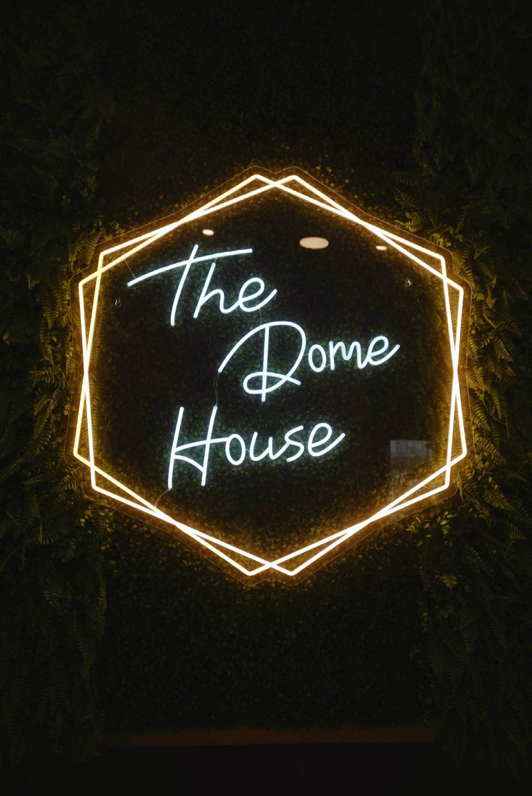 The Dome House — photograph 5 of 9