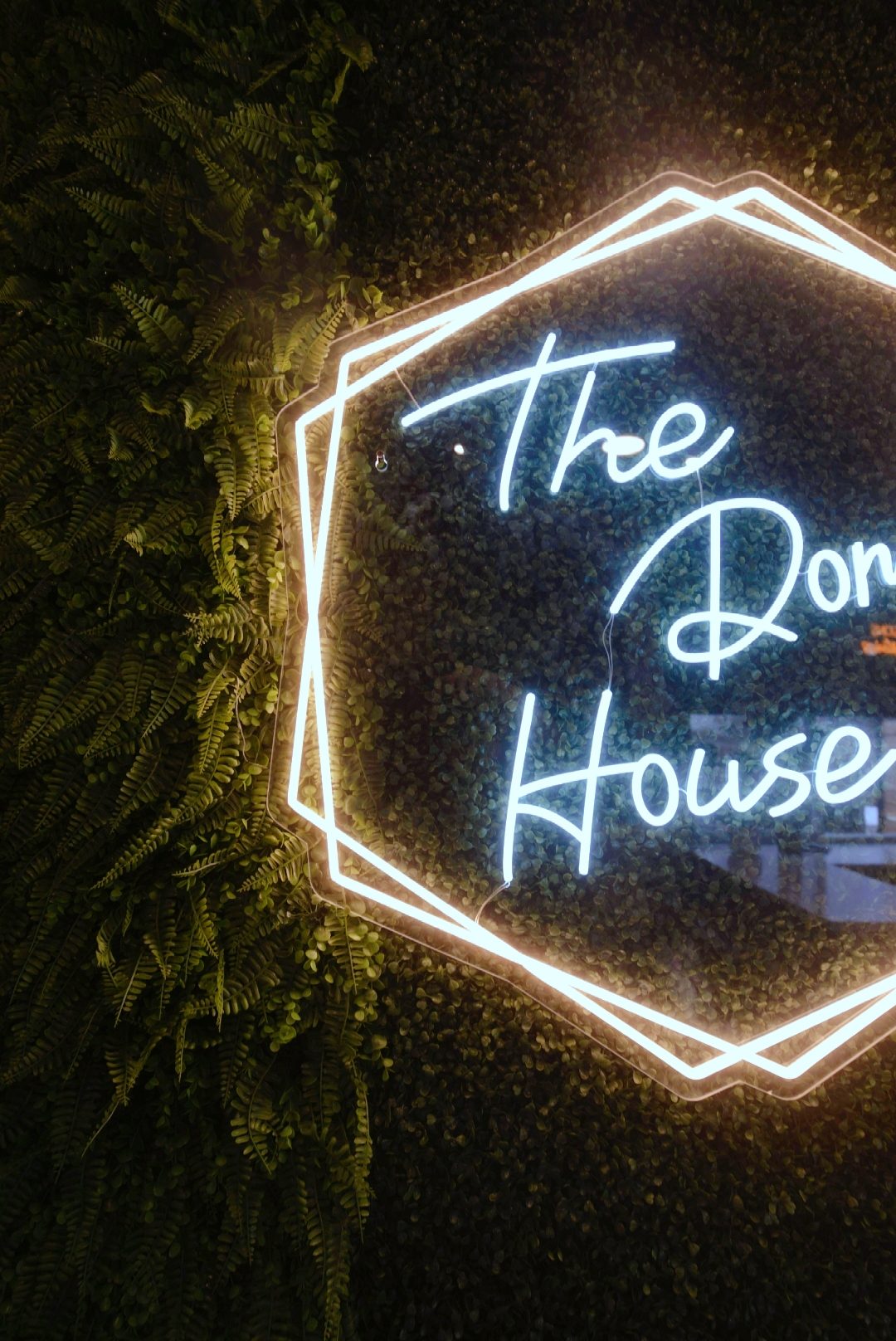 Neon hexagon sign reading The Dome House on a dark wall